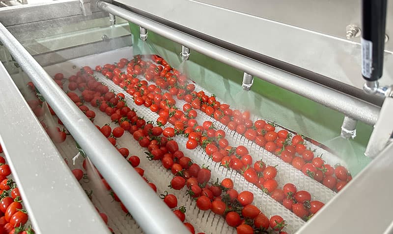 fruit washing machine for fruit.jpg